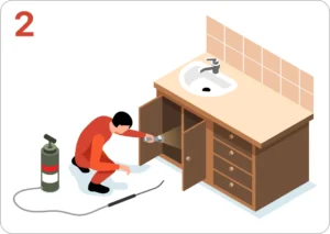 Step 2: pest identification by 4K Pest Control
