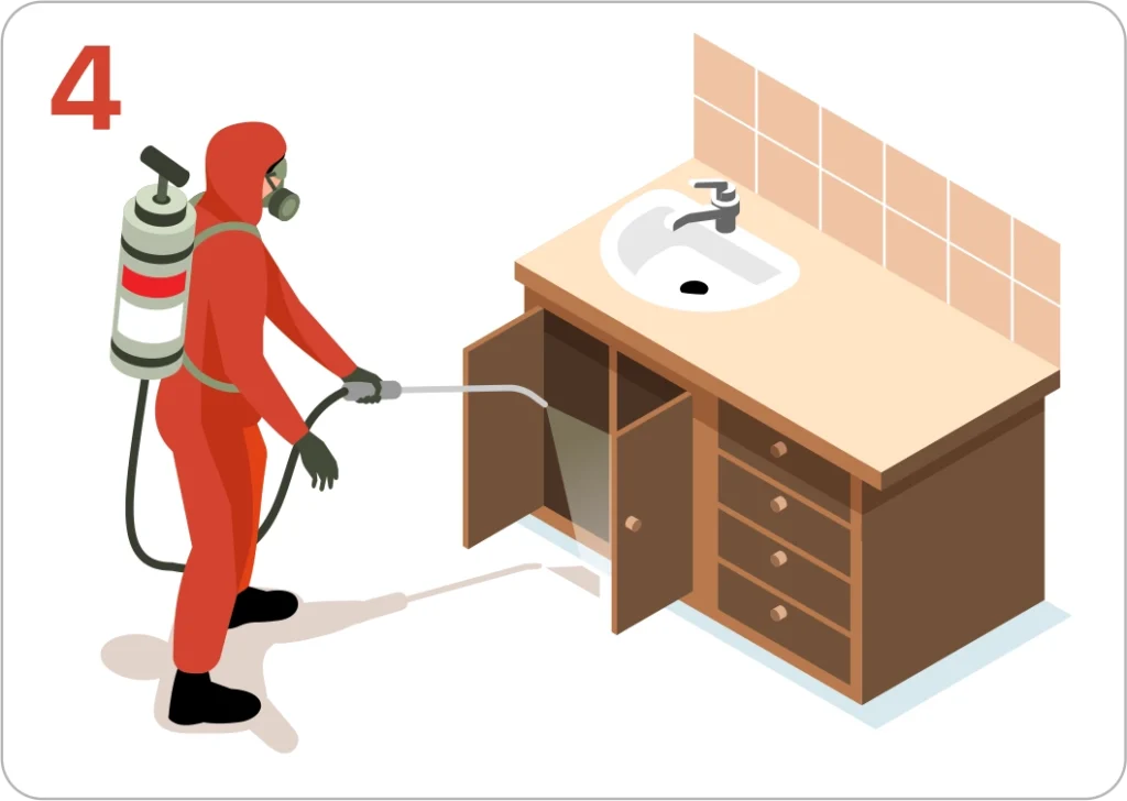 Step 4: pest treatment and extermination