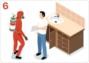 Step 6: follow-up and ongoing pest prevention