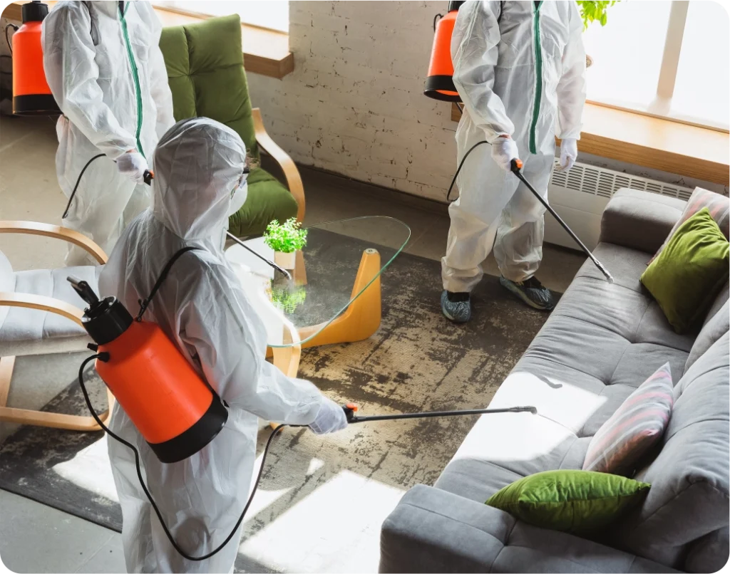 Residential pest control service in Bradford