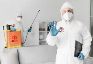 Pest control expert identifying pest species during an infestation assessment
