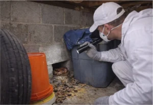 Property Inspection