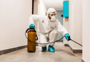 Targeting pest sources including moisture, food, and shelter in a commercial building