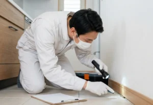 Property Inspection